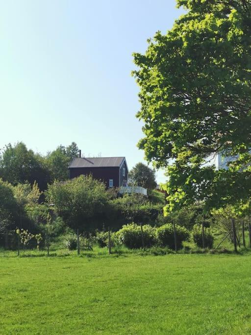 Apartment Stabburet Pa Balsnes Gard Hitra