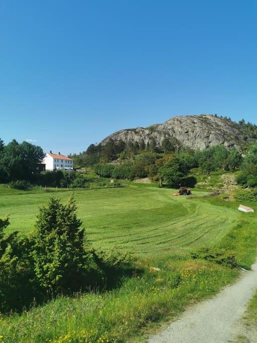 Apartment Stabburet Pa Balsnes Gard